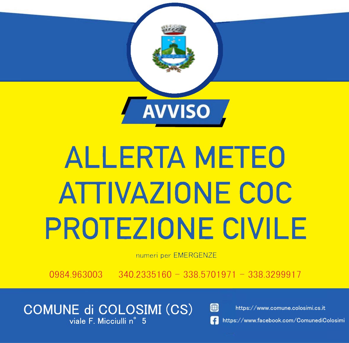 WhatsApp Image 2026-02-12 at 16.19.29